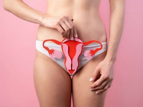 Labia Majoraplasty